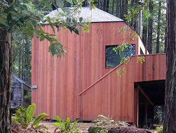 A redwood home in a wooded setting.